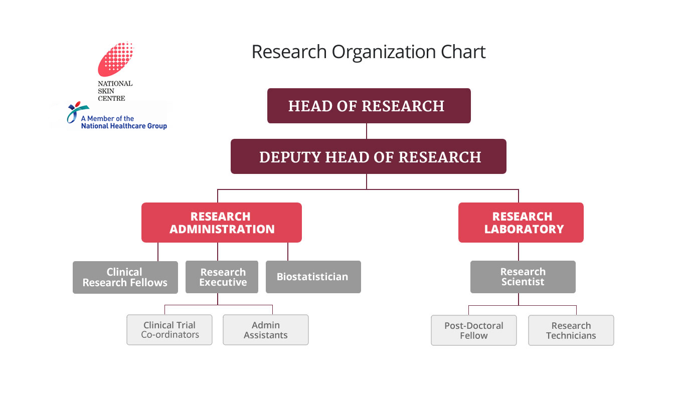 Research Organization Chart